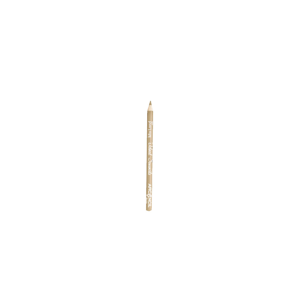 مداد ابروی برس دار آرکانسیل مدل ایده آل سورسیلز شماره رنگ ۳۰۰