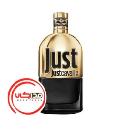 عطر ادکلن روبرتو کاوالي جاست کاوالي گلد مردانه | Roberto Cavalli Just Cavalli Gold for Him
