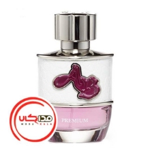 عطر ادکلن لوماني آب اسپيريت ميليونير پرميوم | Lomani Ab Spirit Millionaire Premium