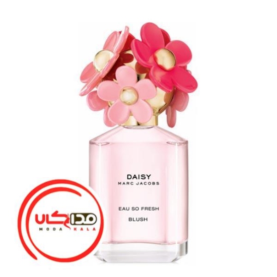 عطر ادکلن مارک جاکوبز ديسي او سو فرش بلاش | Marc Jacobs Daisy Eau So Fresh Blush