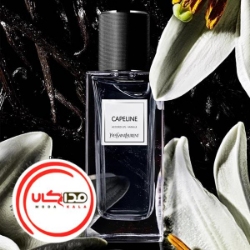 عطر ادکلن ایو سن لورن کیپ لاین | YSL Capeline