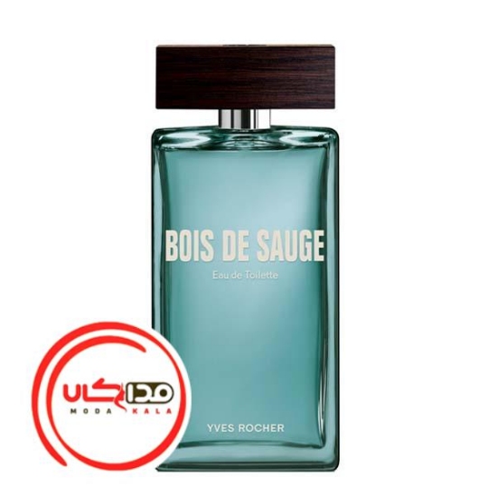 عطر ادکلن ایو روشه بویس د سوگ | Yves Rocher Bois de Sauge