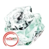 عطر ادکلن مونت بلنک لیدی امبلم لئو | Mont Blanc Lady Emblem L’Eau
