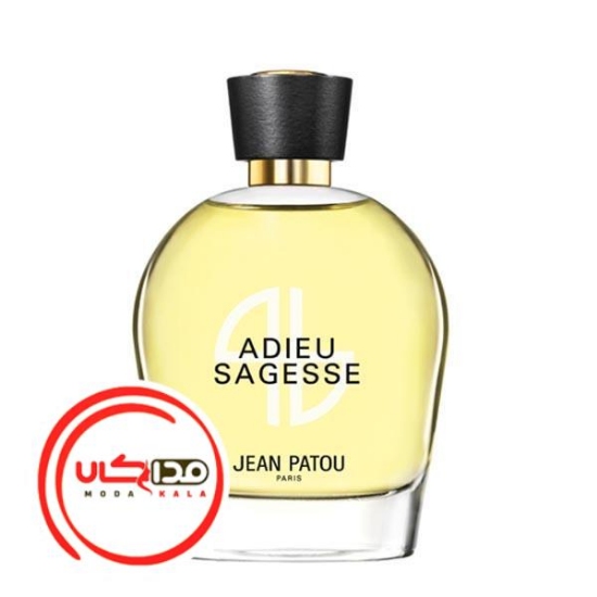 عطر ادکلن ژان پتو ادیو ساگس | Jean Patou Adieu Sagesse