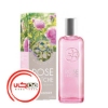 عطر ادکلن ایو روشه رز فرش | Yves Rocher Rose Fraiche