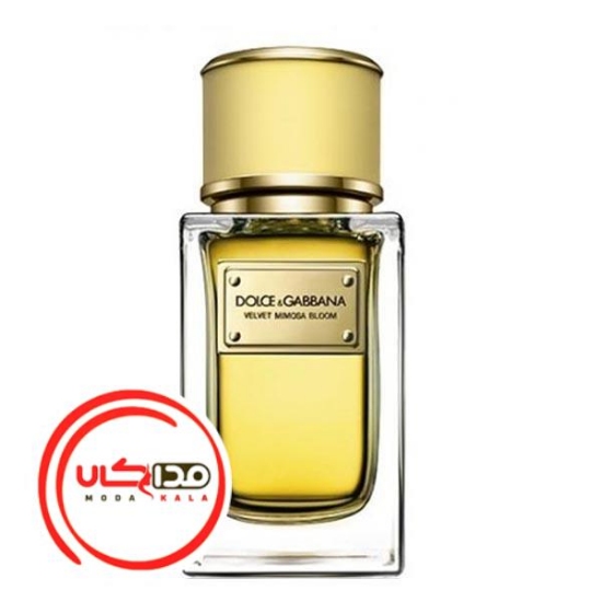 عطر ادکلن دلچه گابانا ولوت میموسا بلوم | Dolce Gabbana Velvet Mimosa Bloom