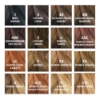 کیت رنگ مو فيتو مدل PHYTO COLOR شماره 4
