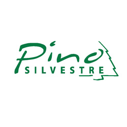 Pino Silvestre | پینو سیلوستره