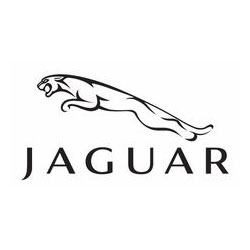 Jaguar | جگوار