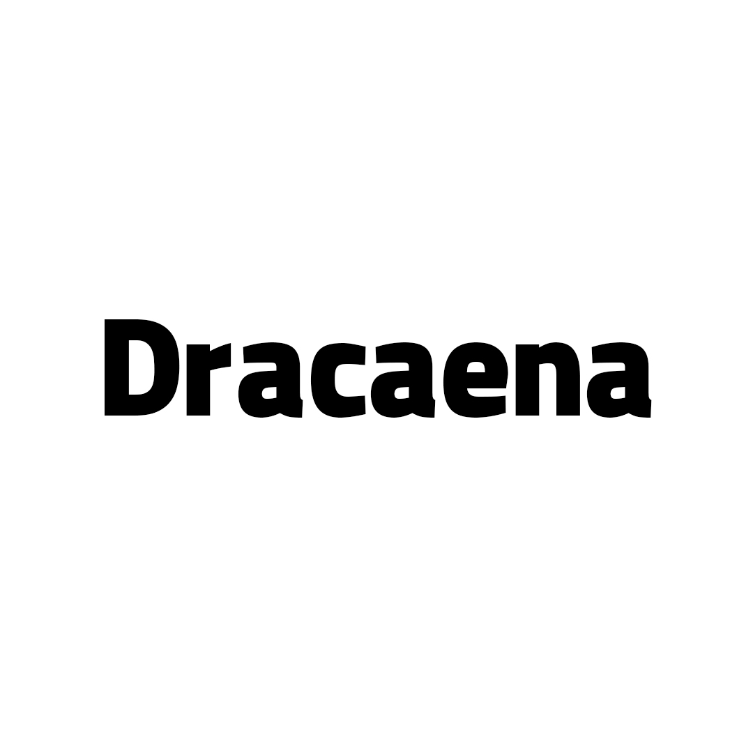 دراسنا | Dracaena