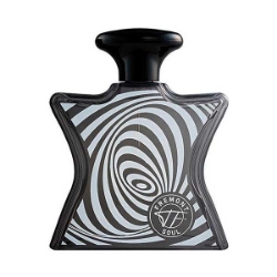 ادوپرفیوم مردانه (REF09169) Fremont Soul for men edp حجم 100 میلی لیتر