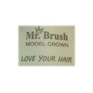 مستر براش | Mr.Brush