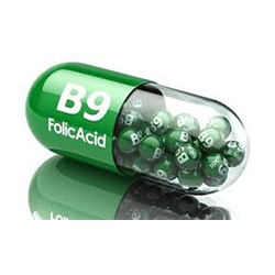تصویر برای دسته  ویتامین B9 ( فولیک اسید )