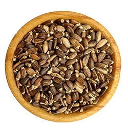 تصویر برای دسته  خار مریم