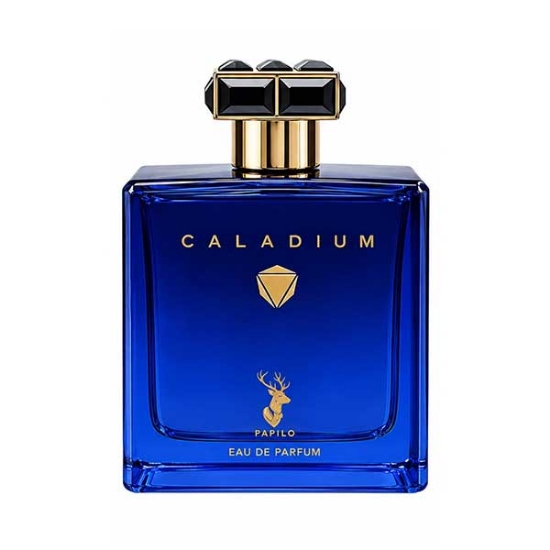 ادوپرفیوم مردانه پاپیلو مدل CALADIUM با رایحه روژا داو الیسیوم حجم 100 میلی لیتر