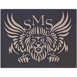 اس ام اس | SMS